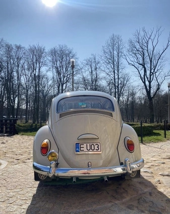 Volkswagen Garbus cena 42000 przebieg: 37500, rok produkcji 1964 z Uniejów małe 254